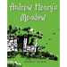 Andrew Henry's Meadow