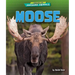 Moose