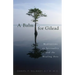 A Balm for Gilead: Meditations on Spirituality and the Healing Arts
