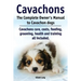 Cavachons. The Complete Owners Manual to Cavachon dogs: Cavachons care, costs, feeding, grooming, health and training all included.