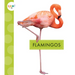 Flamingos