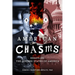 American Chasms: Essays on The Divided States of America