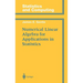 Numerical Linear Algebra for Applications in Statistics