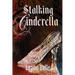 Stalking Cinderella: (A Dark RH Cinderella Retelling)