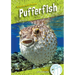 Pufferfish