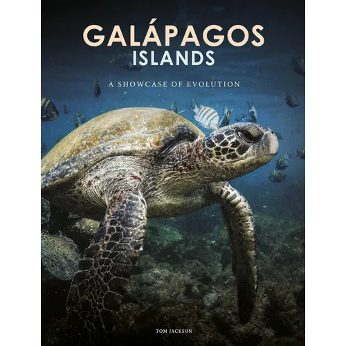Galapagos Islands: A Showcase of Evolution