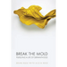 Break The Mold: pursuing a life of servanthood