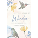Little Wings of Wonder: Inside the Fascinating World of Hummingbirds