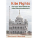 Kite Fights: The Proxy Wars Behind the Kabul Gurdwara Massacre