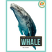 Whale