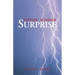 Sizzlin' Summer Surprise