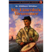Mr. Lincoln's Drummer