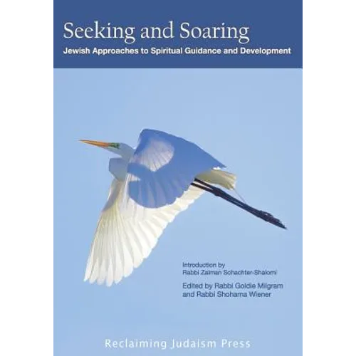 Seeking and Soaring: : Jewish Approaches to Spiritual Guidance and Development