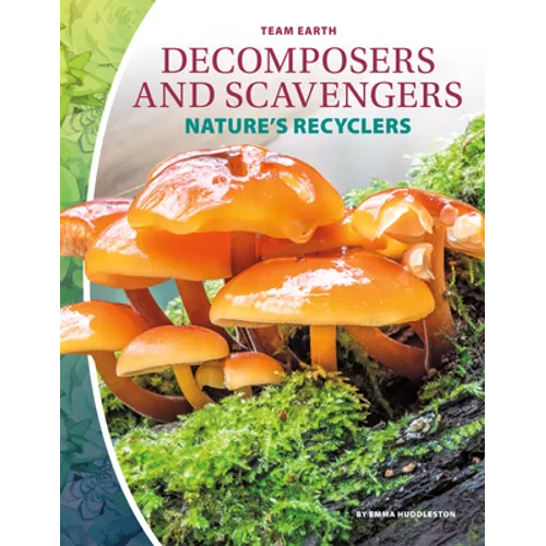 Decomposers and Scavengers: Nature's Recyclers: Nature's Recyclers