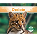 Ocelote (Ocelot)