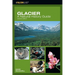 Glacier: A Natural History Guide