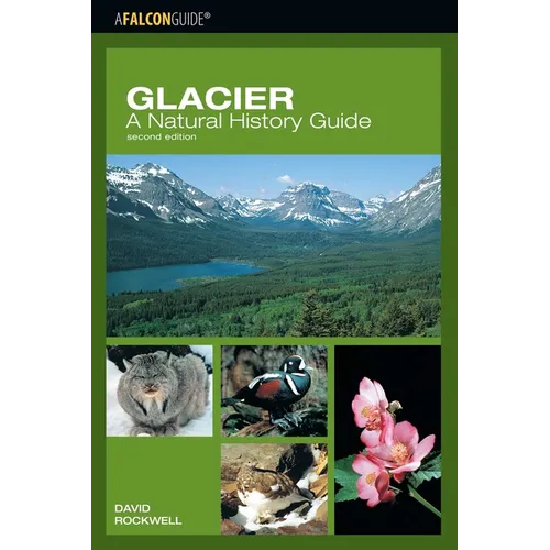 Glacier: A Natural History Guide - Paperback