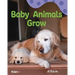 Baby Animals Grow: A Wordless Nonfiction Book