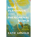 Brief Flashings in the Phenomenal World
