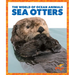 Sea Otters