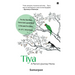 Tiya: A Parrot's Journey Home