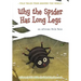 Why the Spider Has Long Legs: An African Folk Tale