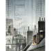 The Gray City