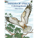 Birds of Prey Coloring Book
