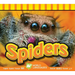 Spiders