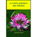 Las plantas medicinales más eficaces