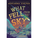 What Fell from the Sky