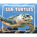 Sea Turtles