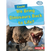Could We Bring Dinosaurs Back to Life?