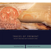 Traces of Fremont: Society and Rock Art in Ancient Utah