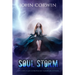 Soul Storm: Epic Urban Fantasy