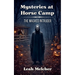 Mysteries at Horse Camp: The Masked Intruder