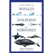 Field Guide to Whales, Dolphins and Porpoises