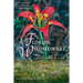 Florida Wildflowers: A Comprehensive Guide