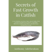 Secrets of Fast Growth in Catfish: A revelation on how big-sized table fish can be produced in just 4 months thereby achieving three production cycles