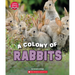 A Colony of Rabbits (Learn About: Animals)