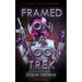 Framed on a Moon Trek: Spiders from Mars