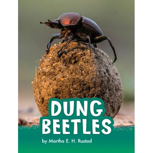 Dung Beetles