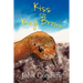 Kiss of the King Brown