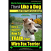 Wire Fox Terrier, Wire Fox Terrier Training, AAA AKC Think Like a Dog But Don't Eat Your Poop! Wire Fox Terrier Breed Expert Training: Here's EXACTLY