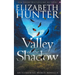 Valley of the Shadow: An Elemental World Holiday Novella