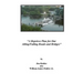 A Reprieve Plan for Our Ailing/Failing Roads and Bridges
