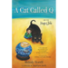 A Cat Called Q and the Magic Globe