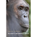 Planet Without Apes