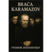 Braca Karamazov