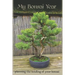 My Bonsai Year: Planning the Tending of Your Bonsai